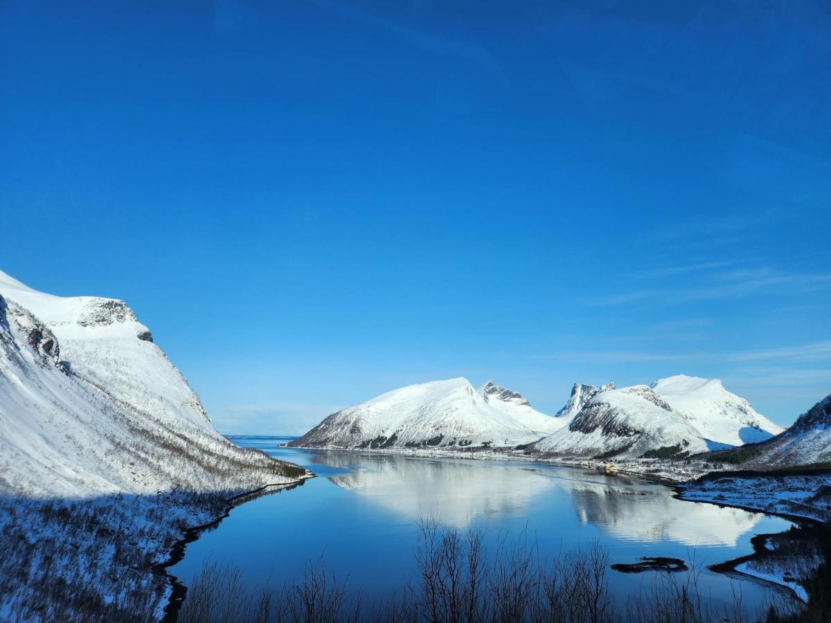 Senja Skaland Villa Melkarhola Екстериор снимка
