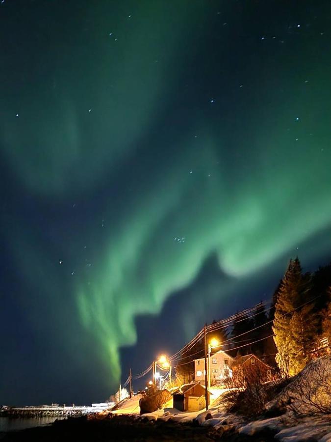 Senja Skaland Villa Melkarhola Екстериор снимка